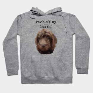 Doodle Dog Owner Hoodie